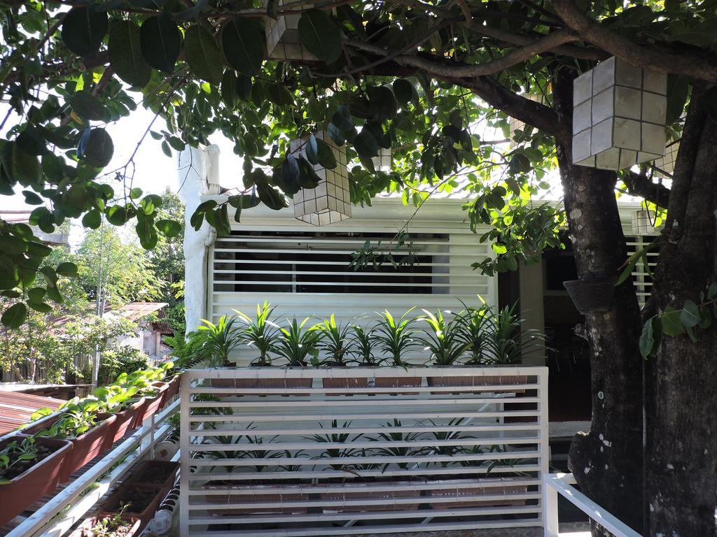 Orange Mangrove House By Sms Hospitality Bed & Breakfast Puerto Princesa